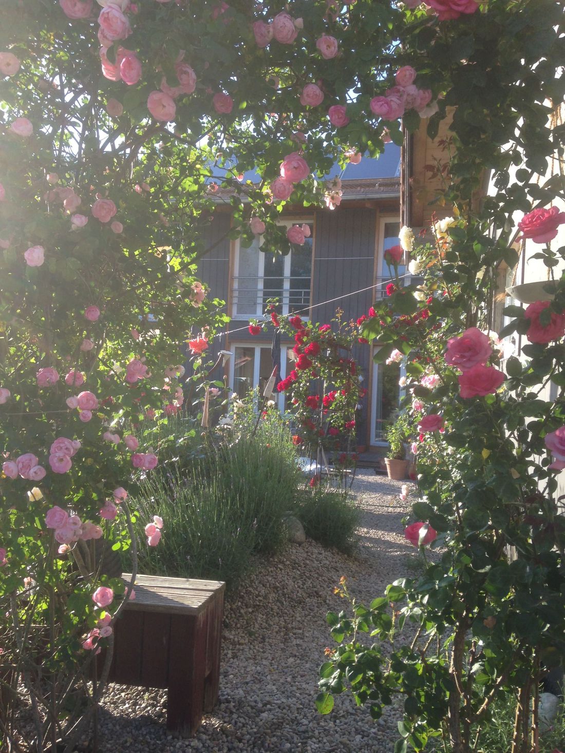 Rosengarten
