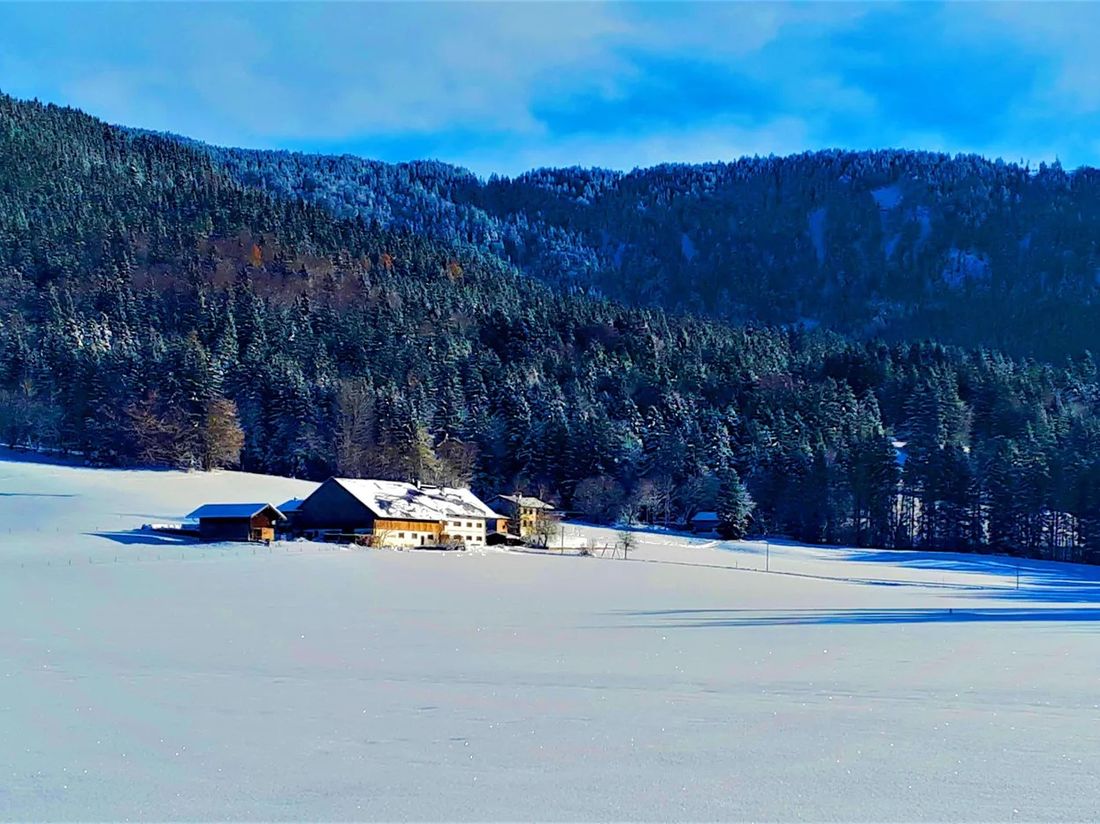 Gschwendter Hof im Winter