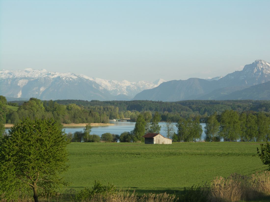 Tachinger See