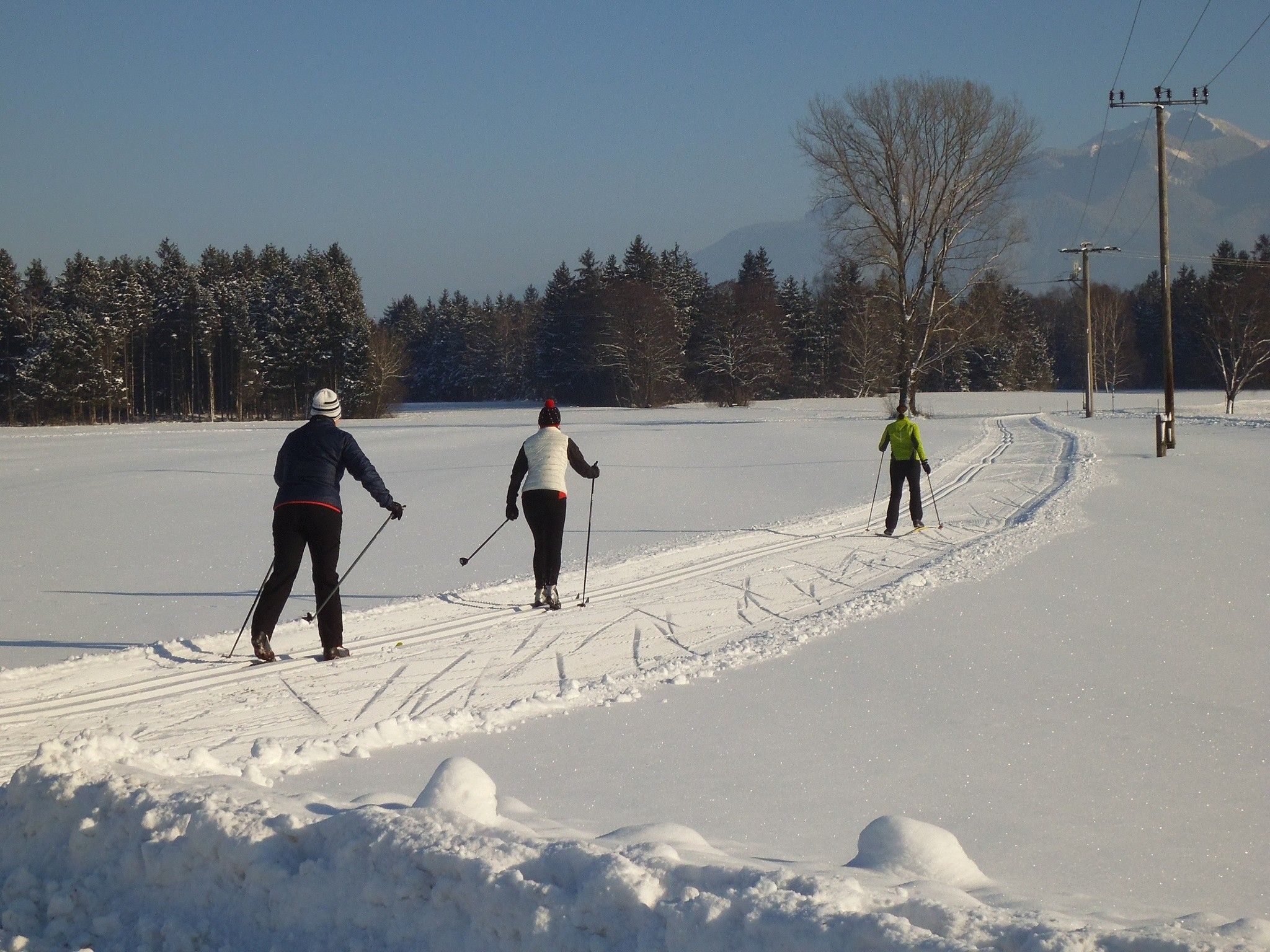 Loipe Rottauer Runde