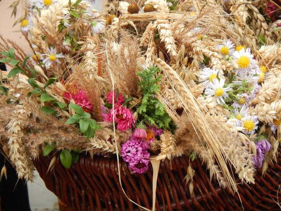 erntebuescherl-ok-susanne-havel_1