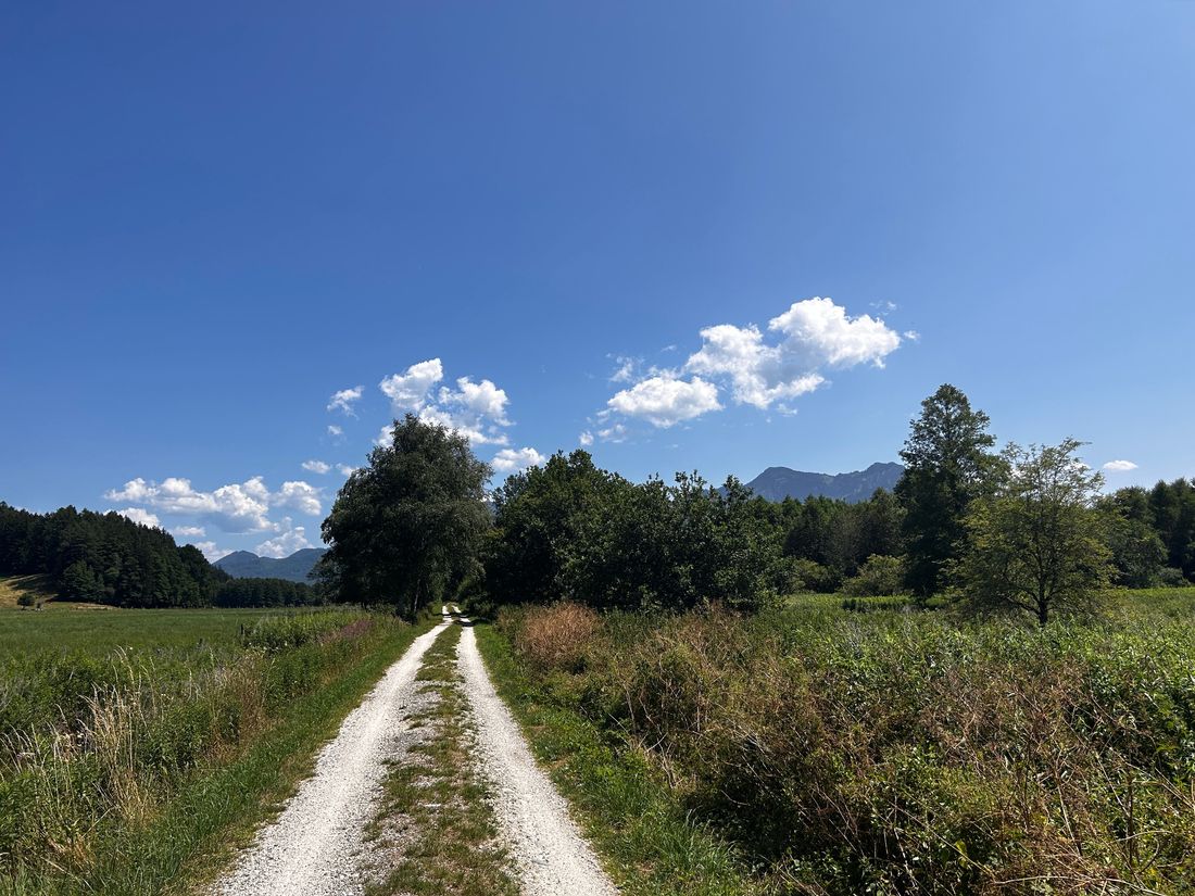 Radweg zum Westerbuchberg