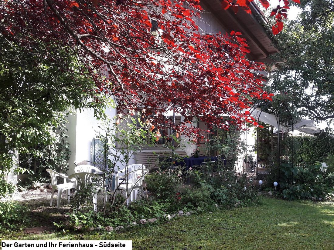 Südseite Ferienhaus