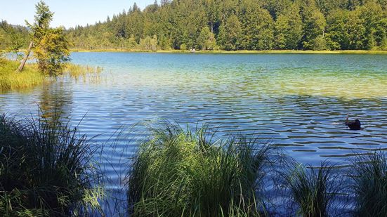 Frillensee
