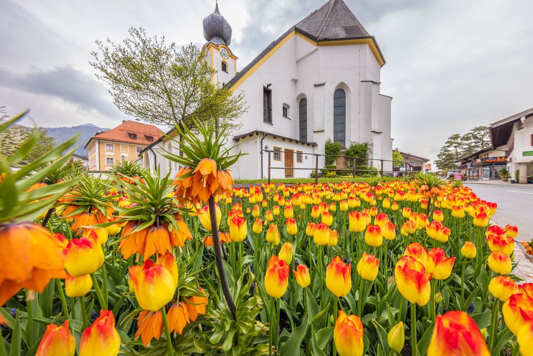 Grassau & Rottau wurden 2021 mit dem Titel „Bienenfreundlichste Gemeinde Oberbayerns“ ausgezeichnet. Nicht ohne Grund..