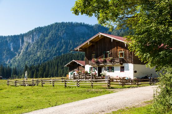 Langerbauer Alm Ansicht