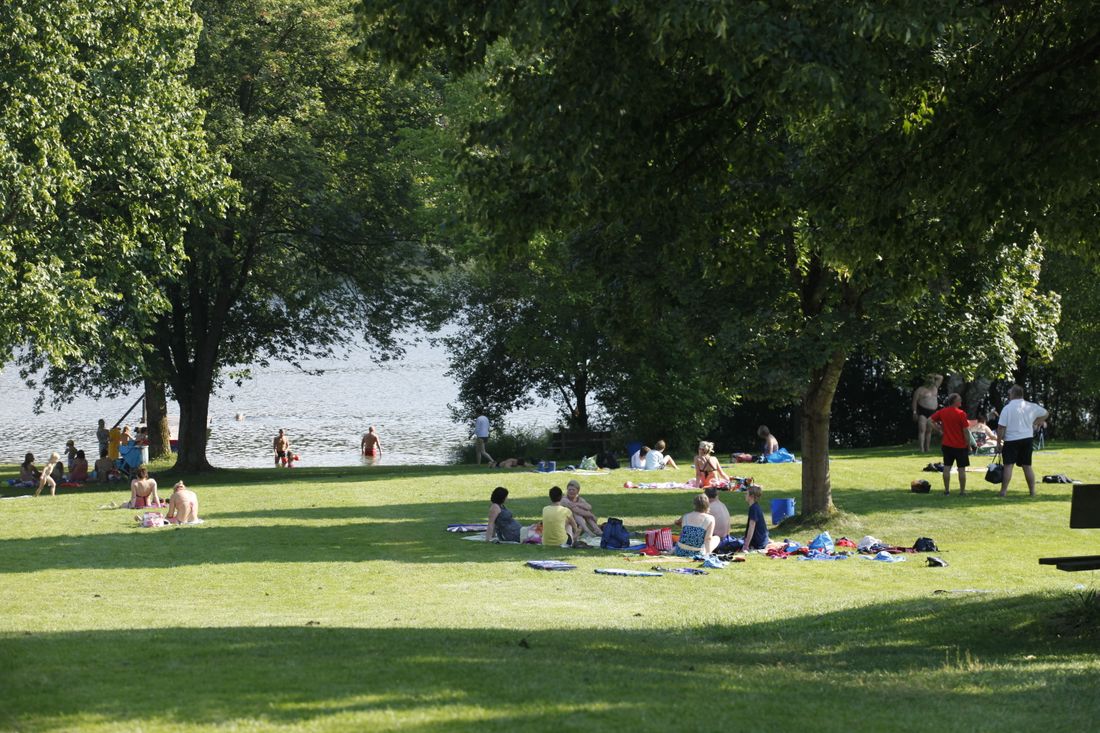 liegewiese-am-strandbad-griesee
