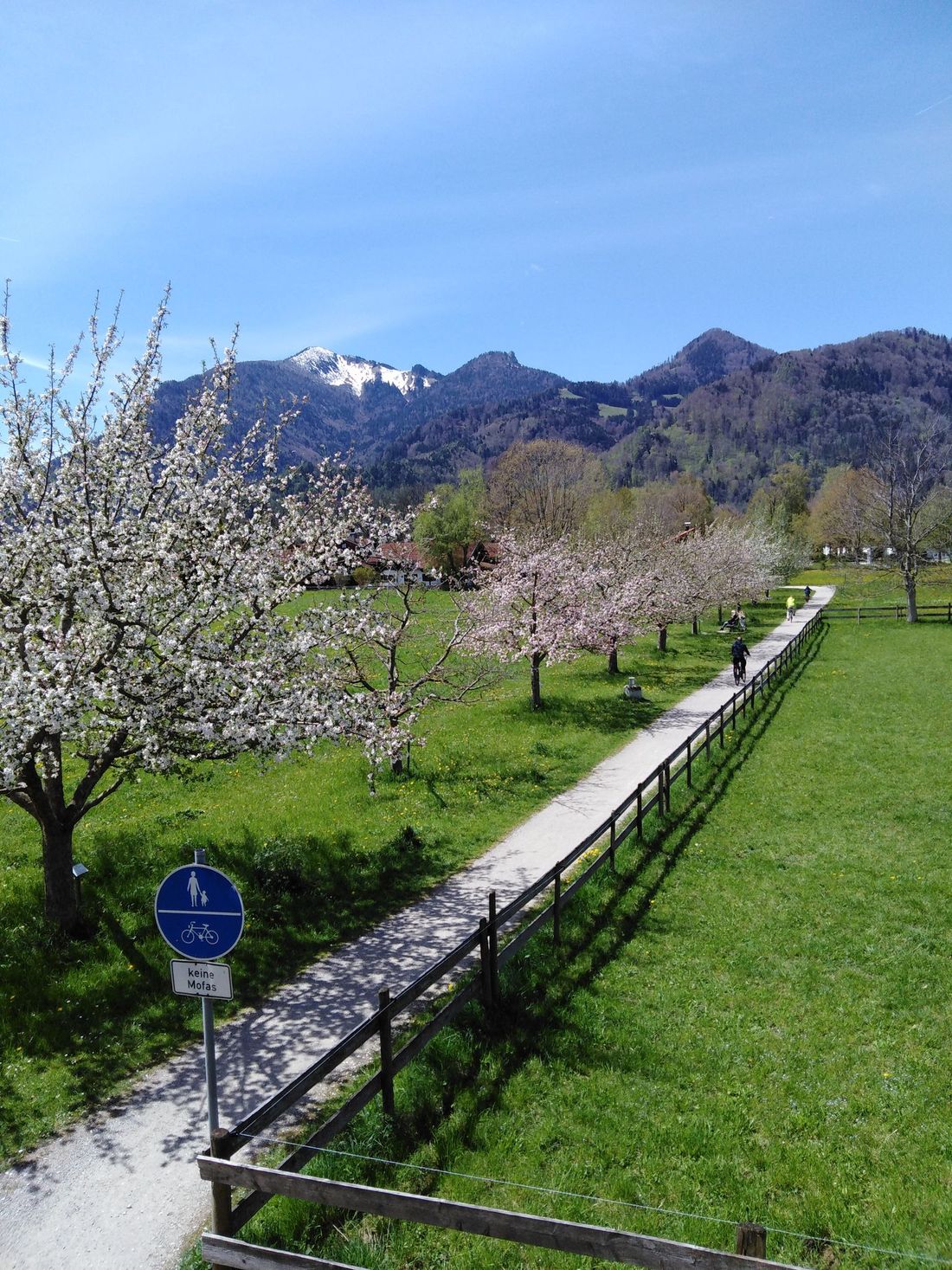 Ausblick Obstlehrpfad