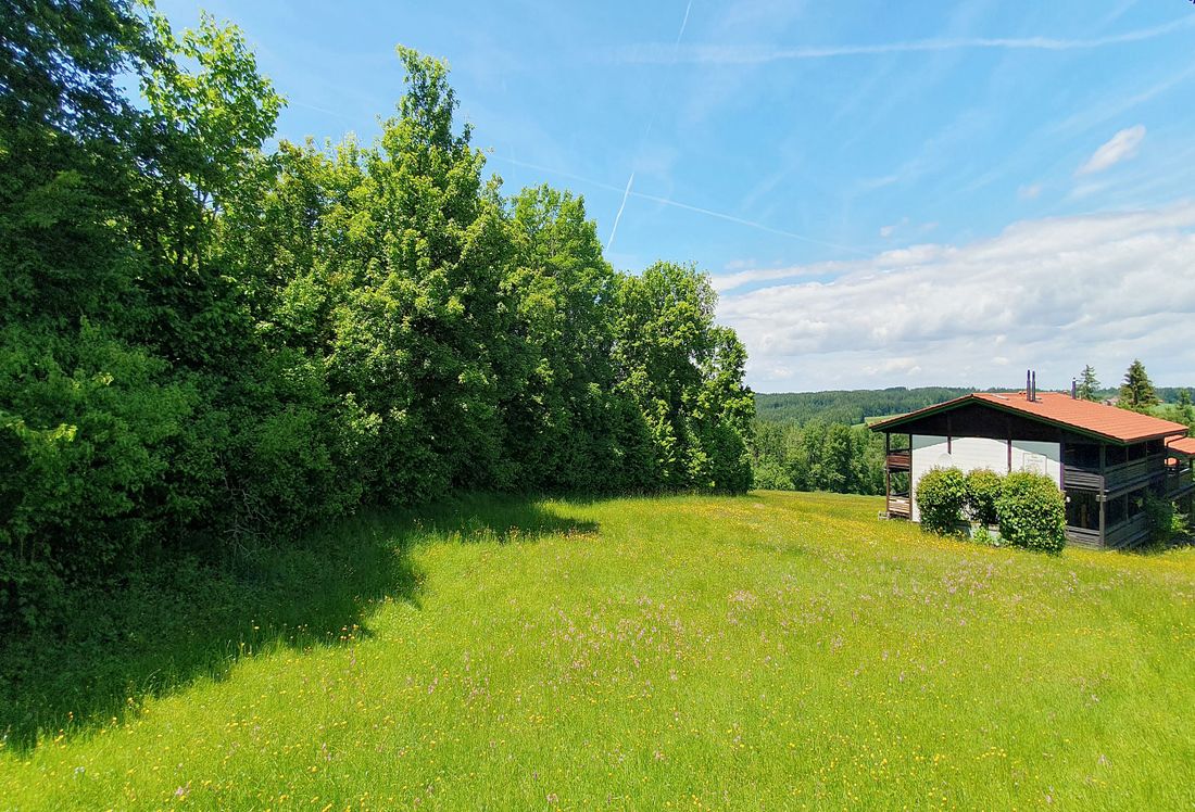 die herrliche Aussicht