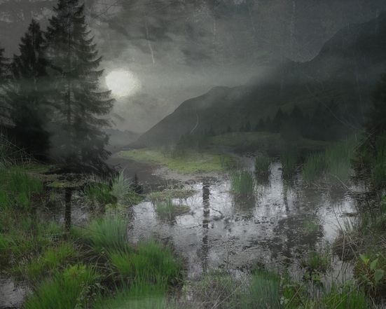Schauriges Moor