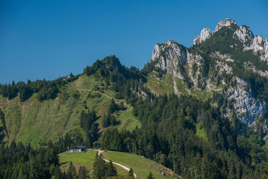 Blick auf die Piesenhausener Hochalm