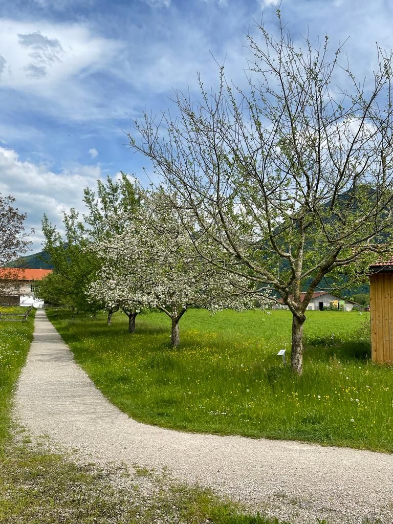 Obstlehrpfad