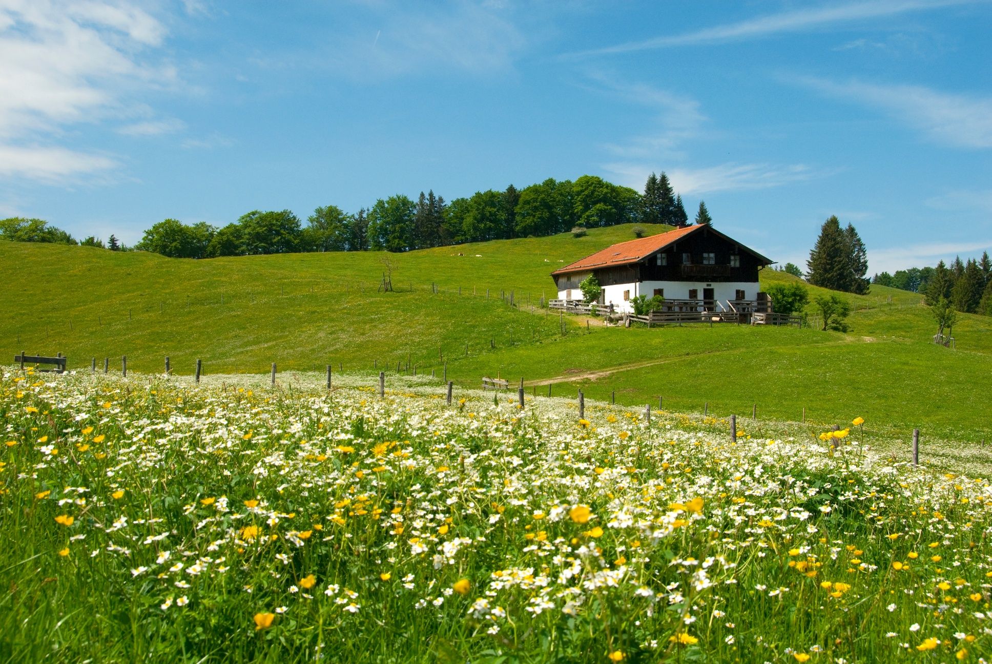 Die Rottauer Moieralm.
