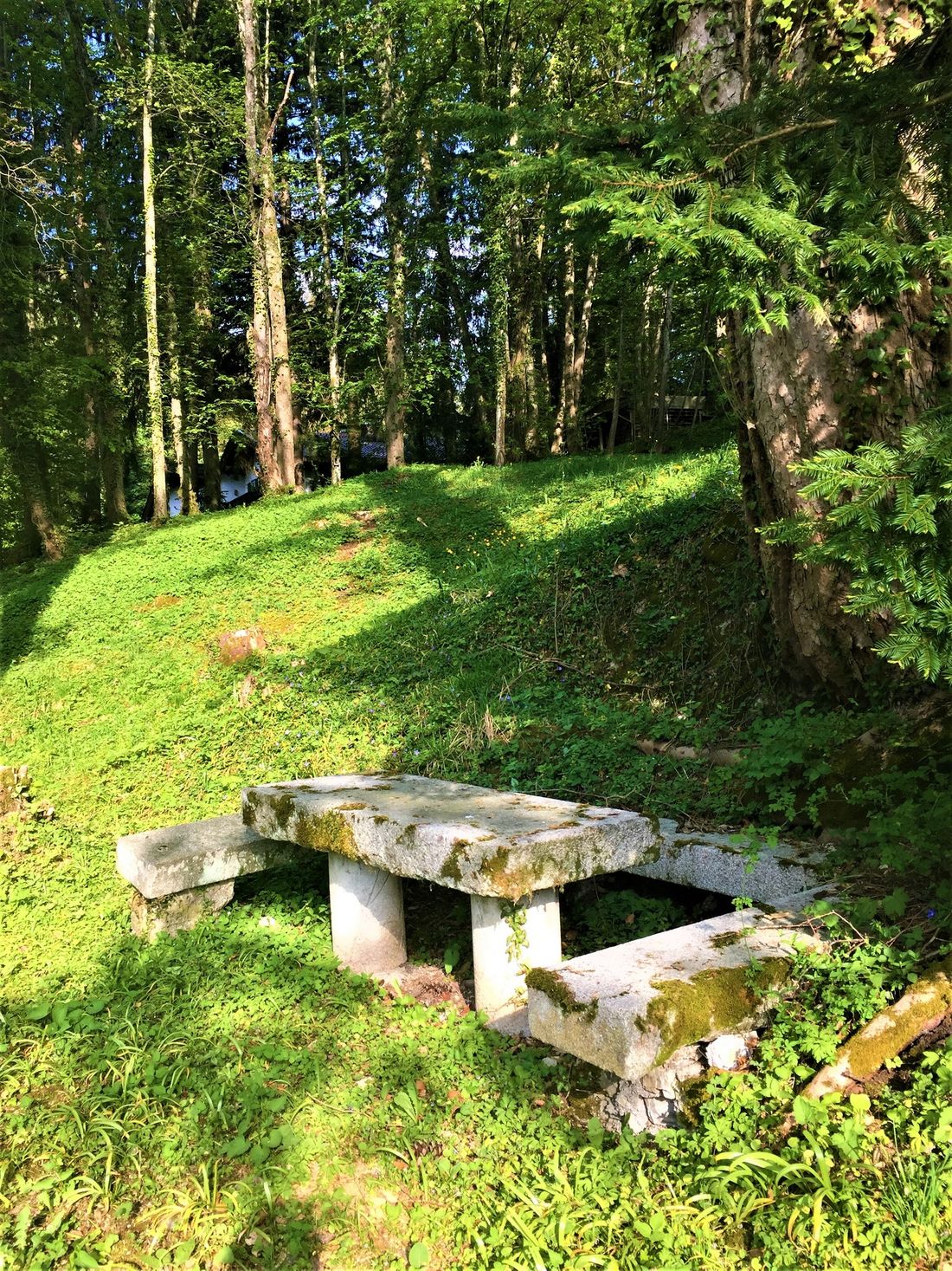 Sitzgelegenheit im Wald