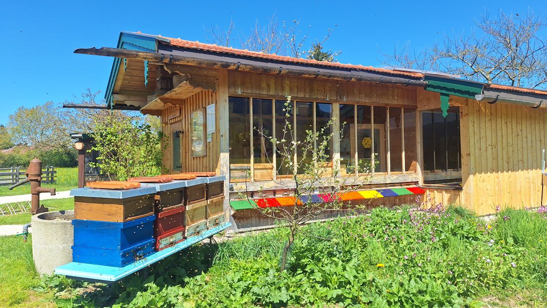 Besichtigung am Bienenschauhaus