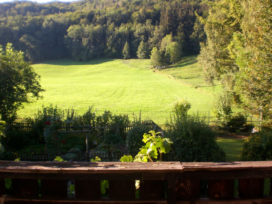 Aussicht vom Balkon in die Natur