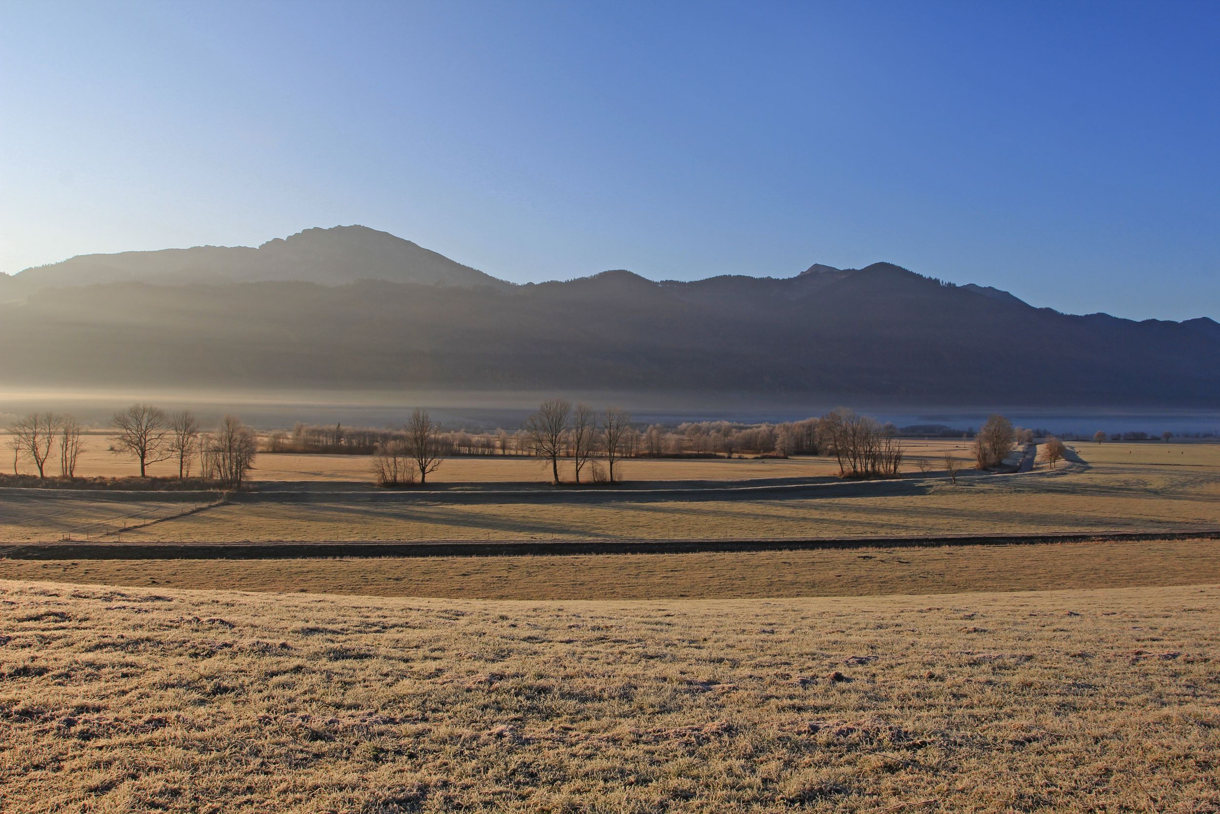 Bergener Moos im Herbst