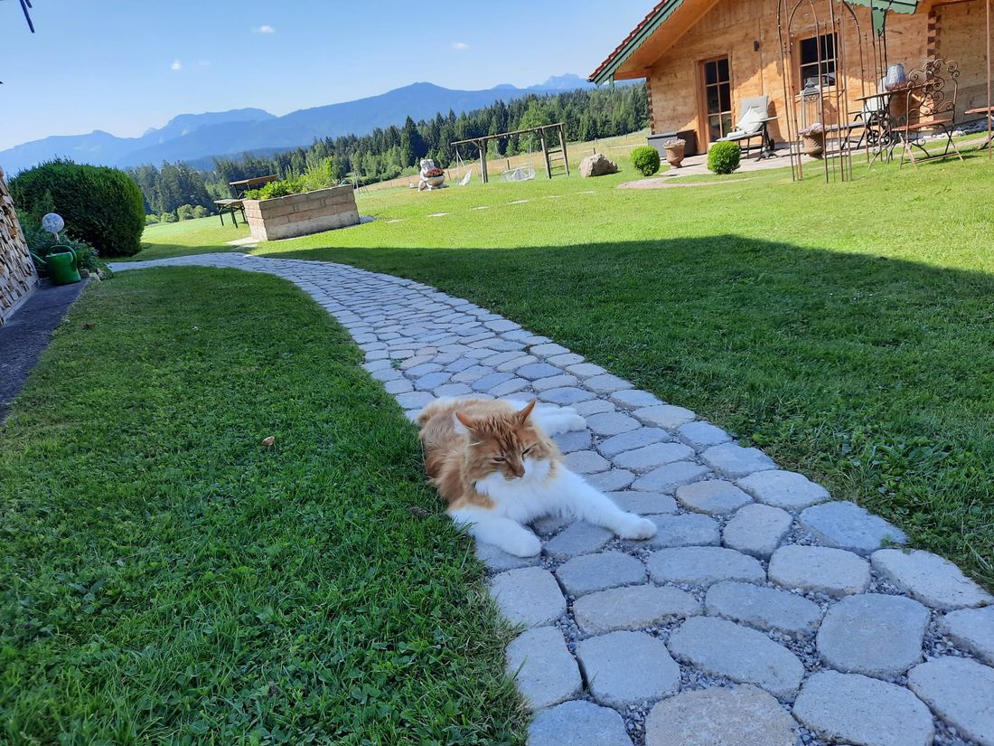 Weg zur Ferienwohnung mit Kater "Jimmi"
