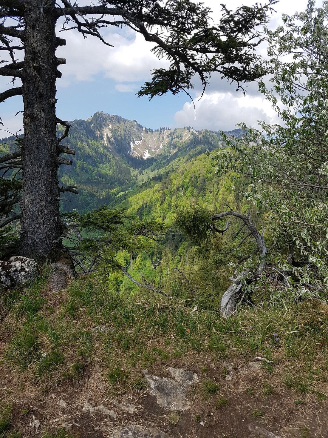 Wandern mit Blick auf Hochfelln