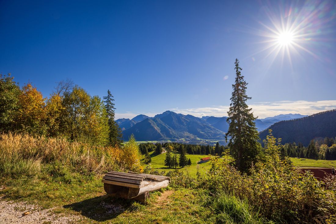 Liege am Bergwalderlebnisweg