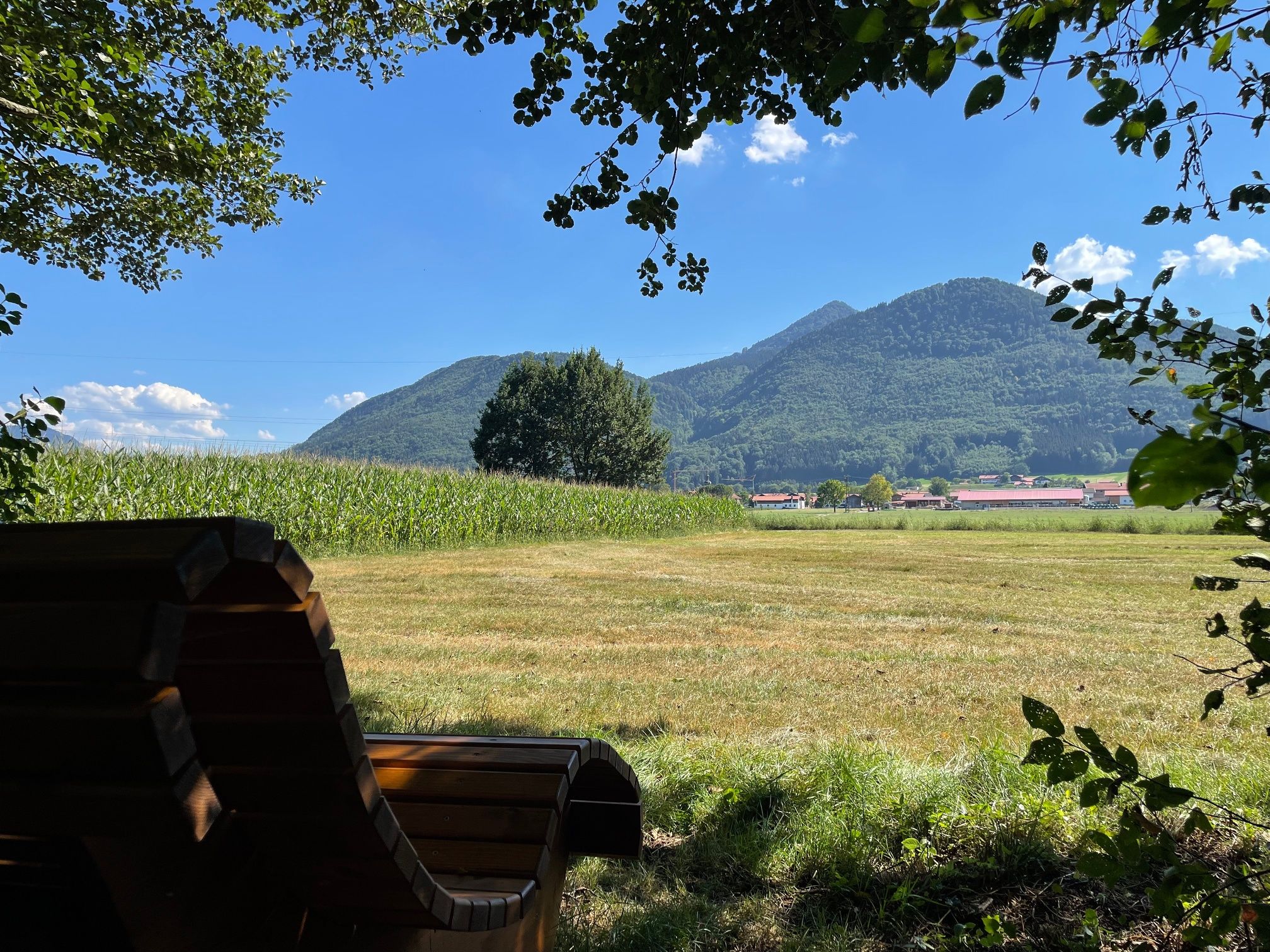Aussicht am Waldtierweg