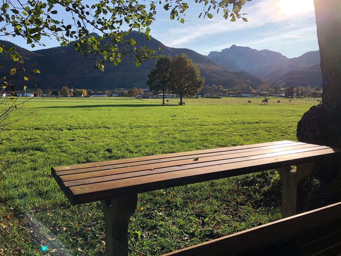 Ruhebank am Waldtierweg