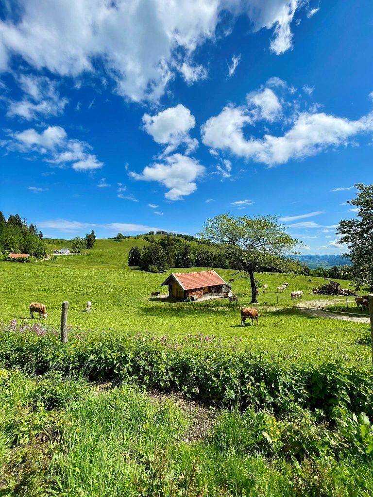 Blick von der Rachlalm