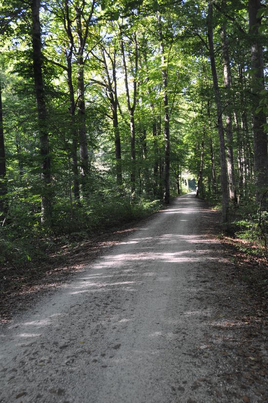 wanderweg_31
