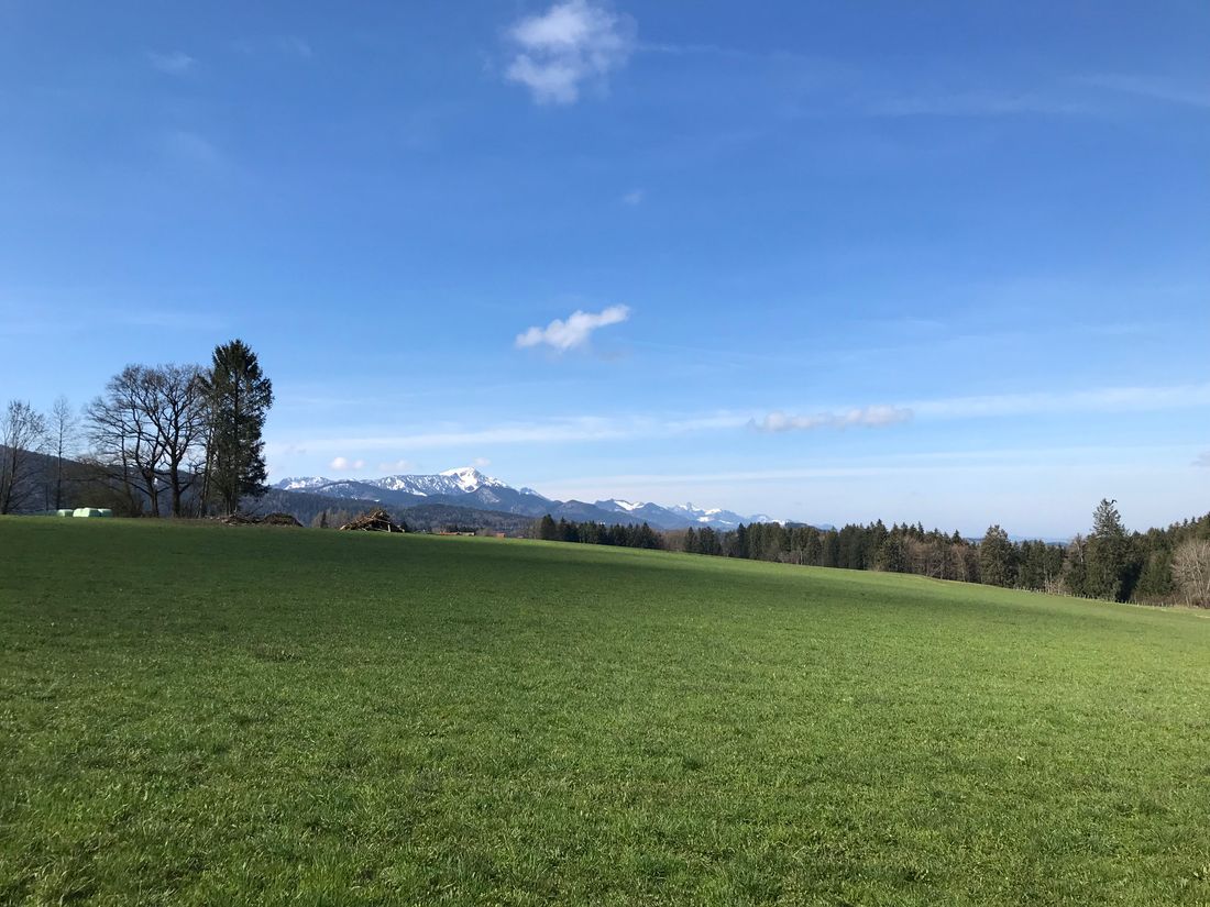 Blick von der Wiese am Ende der Ferienhaus Straße (Impressionen aus der Umgebung)