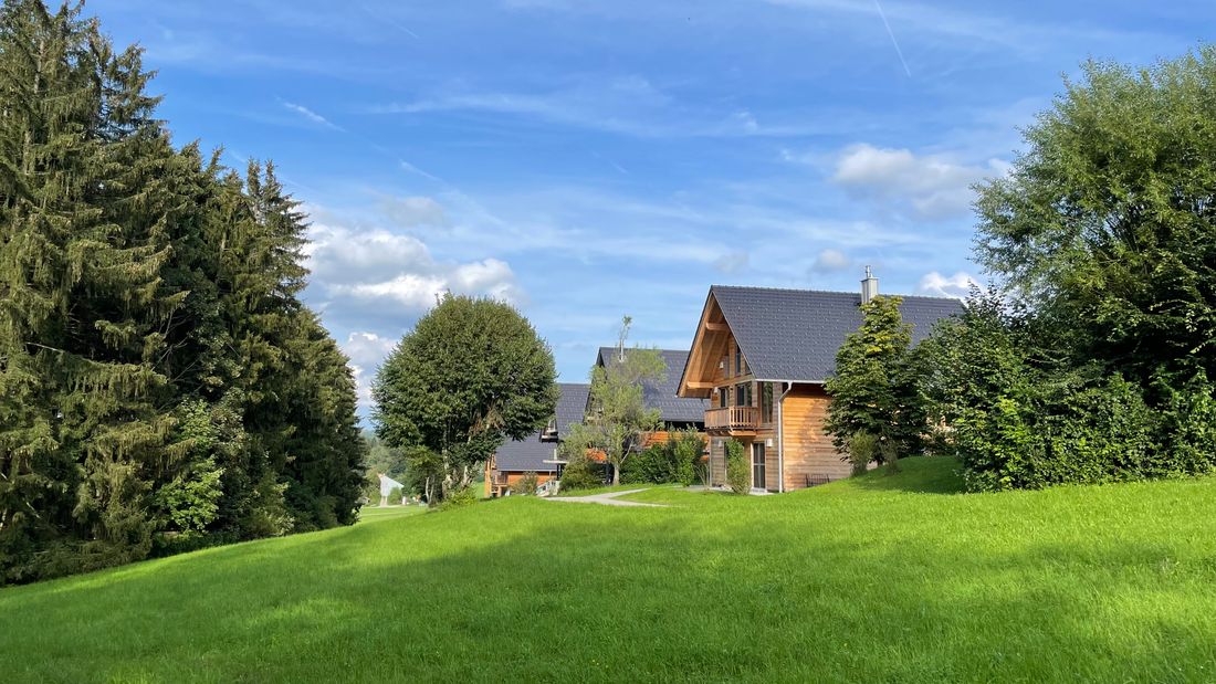 Weitläufige Wiese und Wald auf der Nordseite