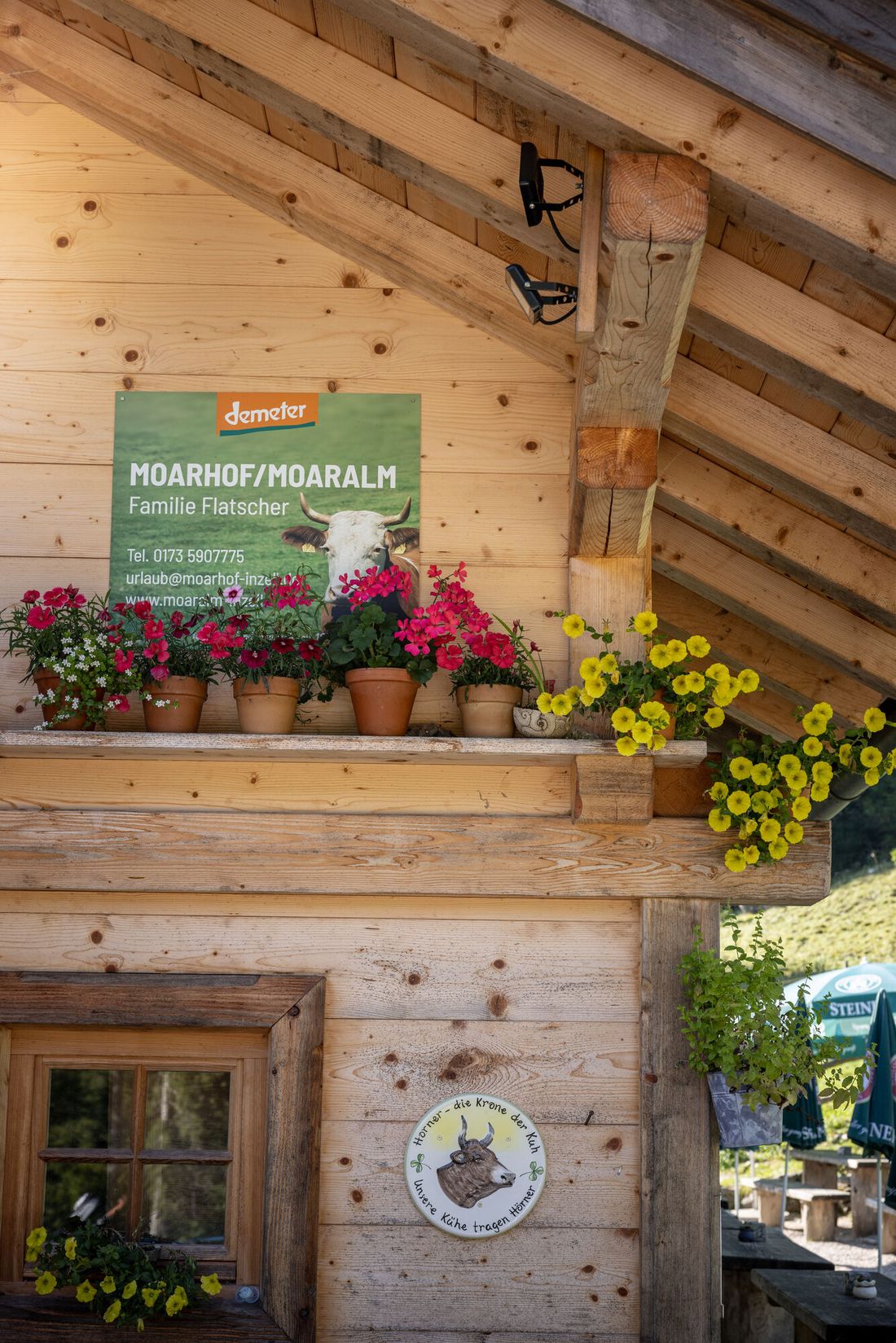 Die Moaralm in Inzell