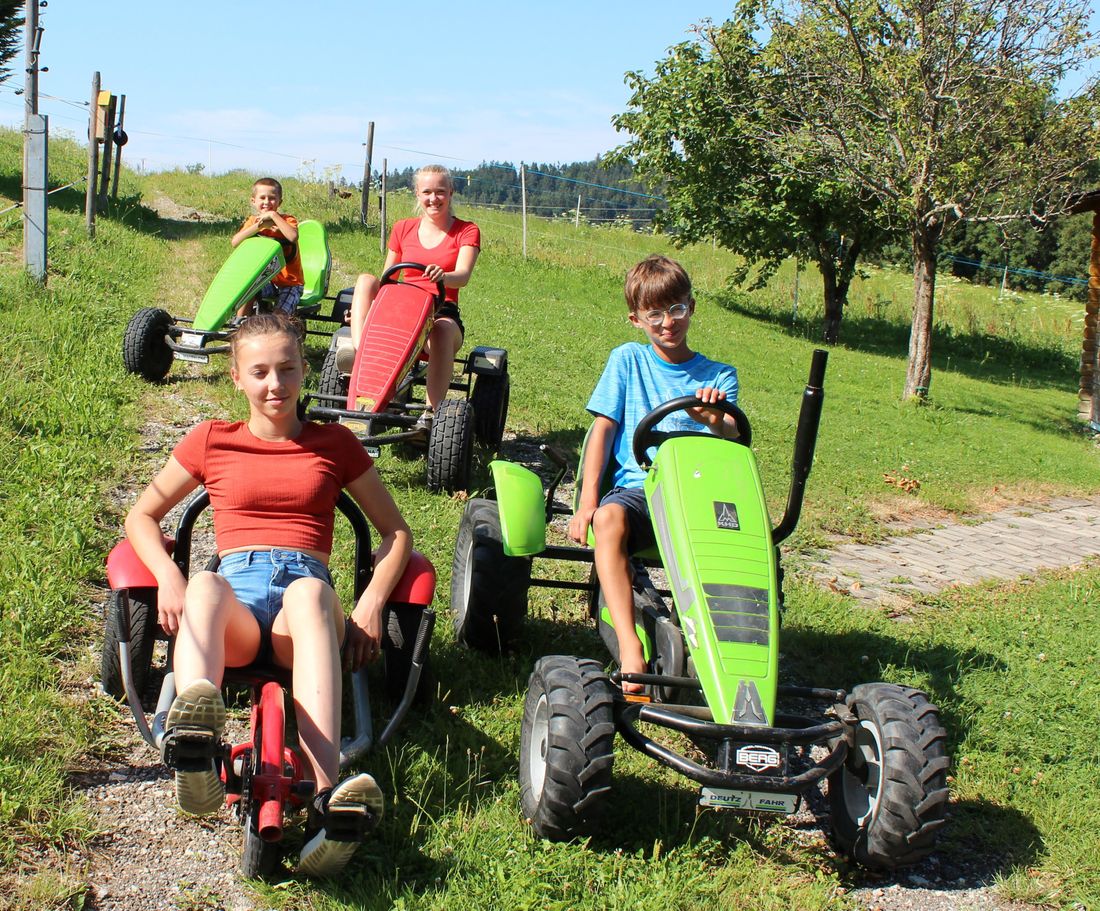 Berg Gokarts im Einsatz