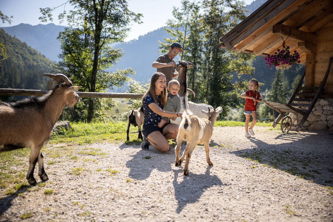 Familienfreundliche Moaralm in Inzell