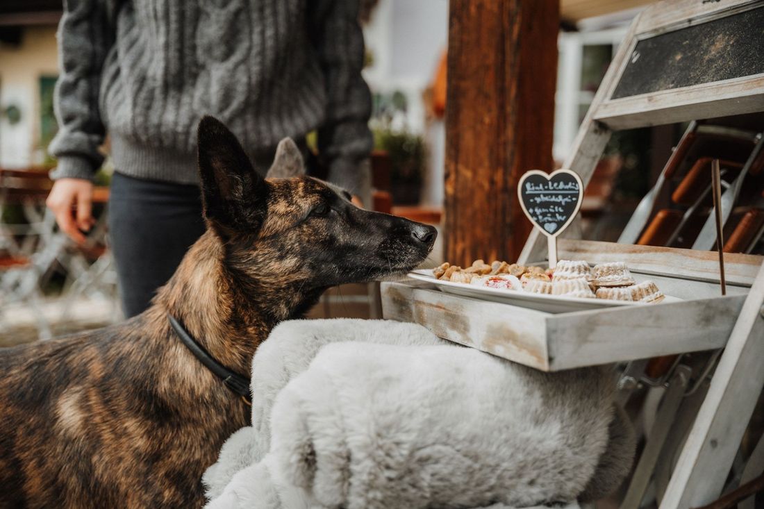 53a8a457-001d-481c-8950-a9c576227c32