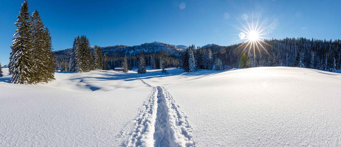 Winter auf der Hemmersuppenalm