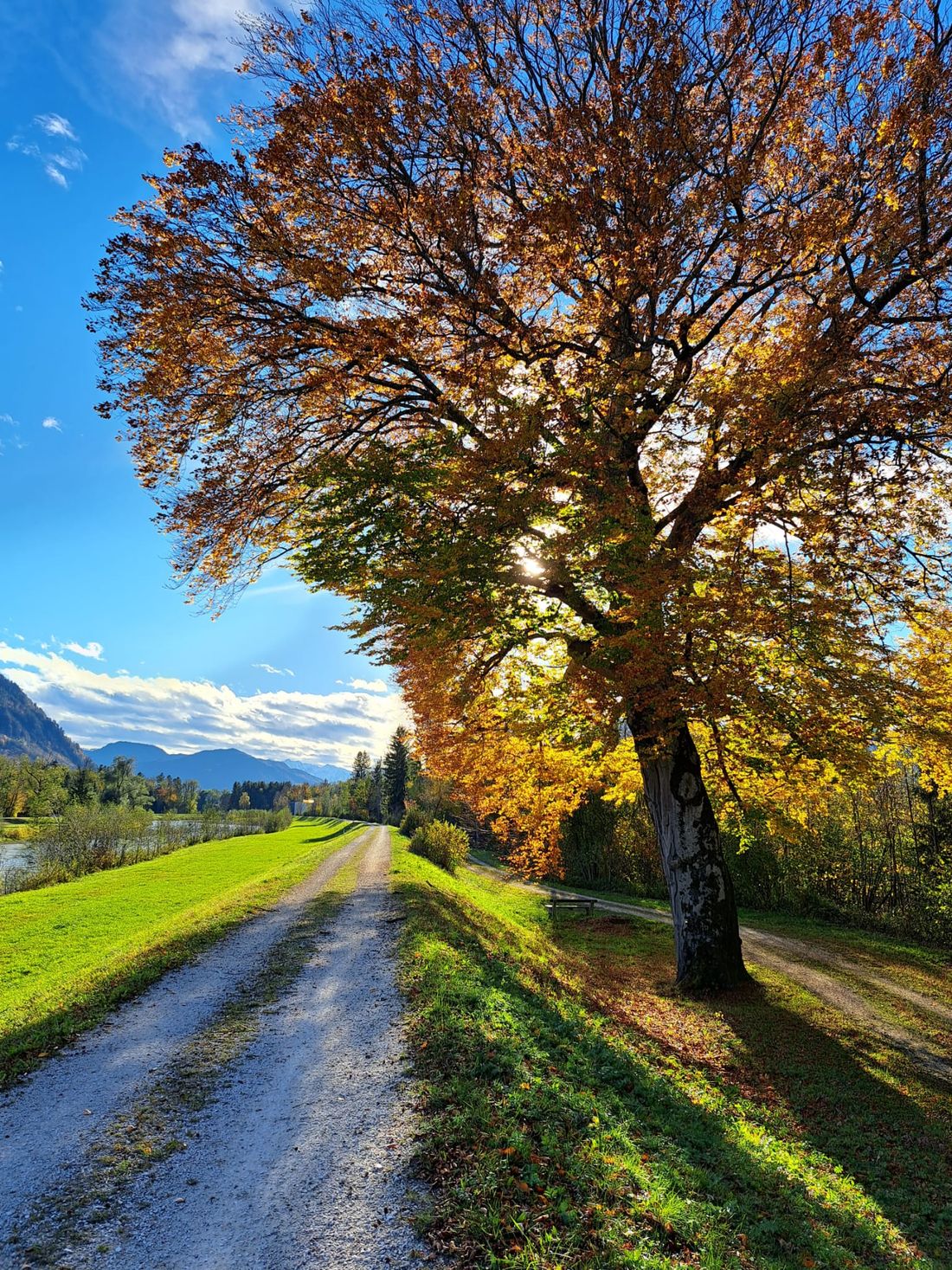 Auf dem Achendamm, Richtung Staudacher Filze