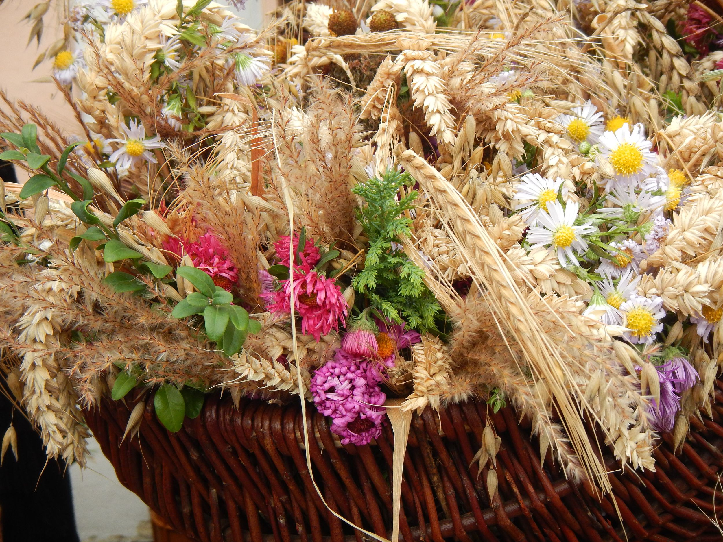 erntebuescherl-ok-susanne-havel_1