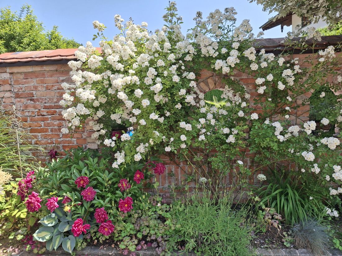 Parkplatz direkt vor der Haustüre
